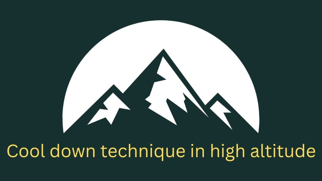 WhatsApp Image 2023-06-30 at 8.12.30 AM